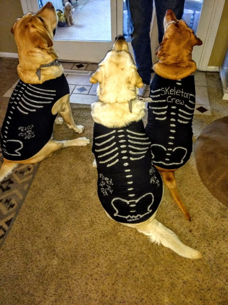 Tink, Olive and Mel in Halloween Costumes